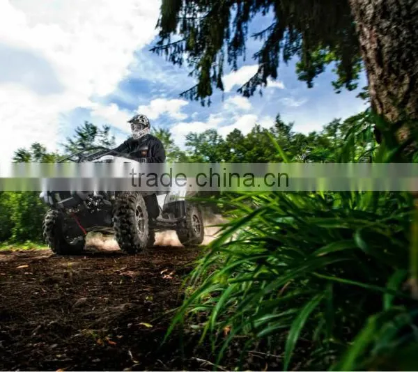 QUAD photo-6