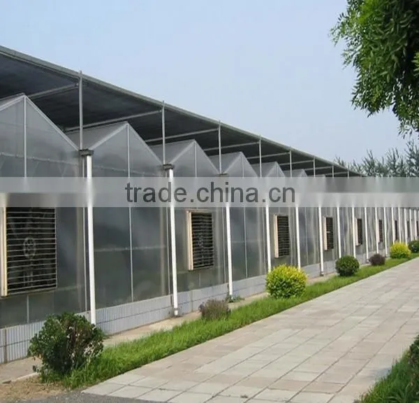 Commercial Greenhouse for Agriculture photo-2