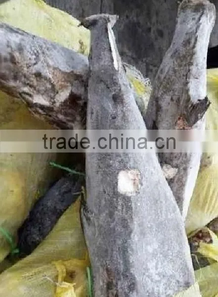 Frozen Oil Fish Rough Skin photo-3