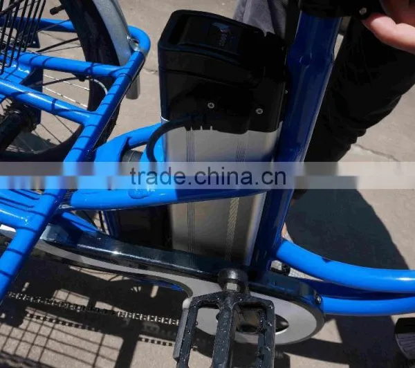3 Wheel Electric Trike Electric Cargo Trike for Sale photo-4