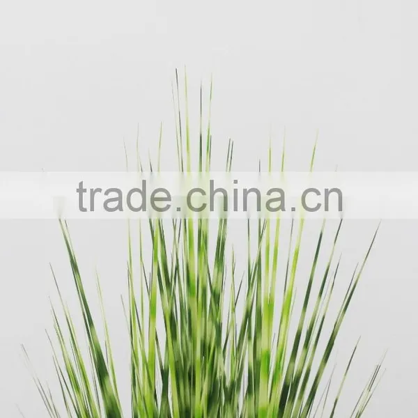 Wholesale Artificial Plants Zebra Onion Grass in Pot photo-3