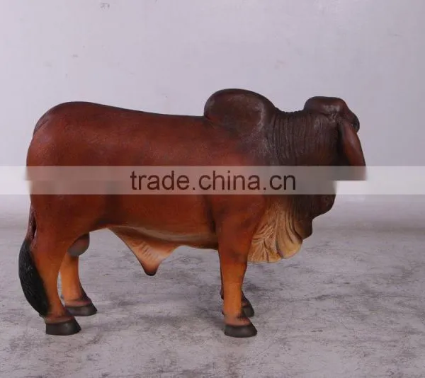 Definitive Brahman Looking Left photo-3