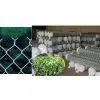 Galvanized and Pvc Coated Chain Link Fence photo-3