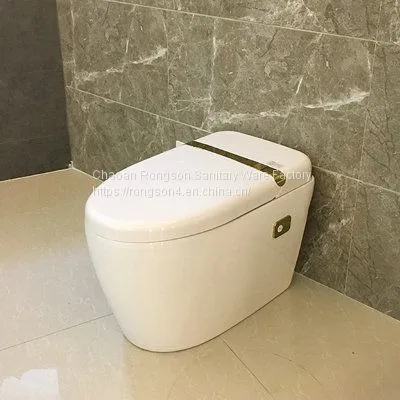 China new arrival floor mounted top grade water closed automatic flushing multi-function one piece intelligent toilet