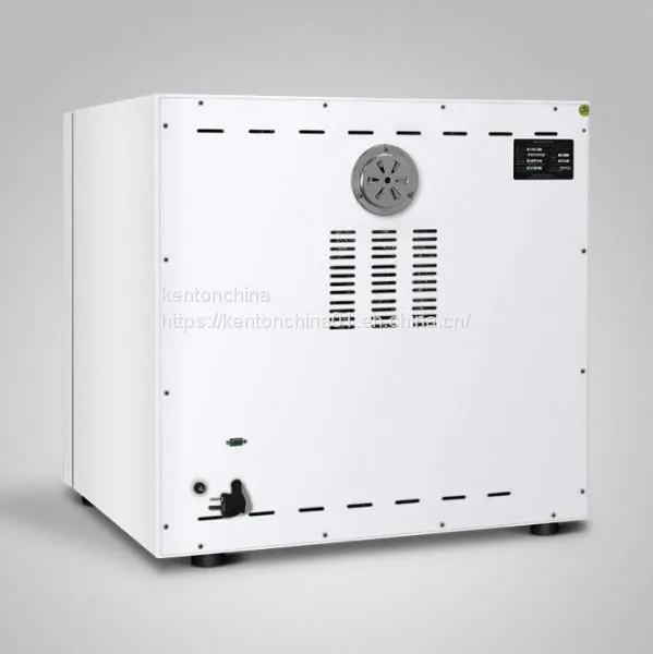 Electrothermal Constant Temperature Incubator Small Laboratory Incubator of Bacteria and Microbial Plants for Germination photo-3