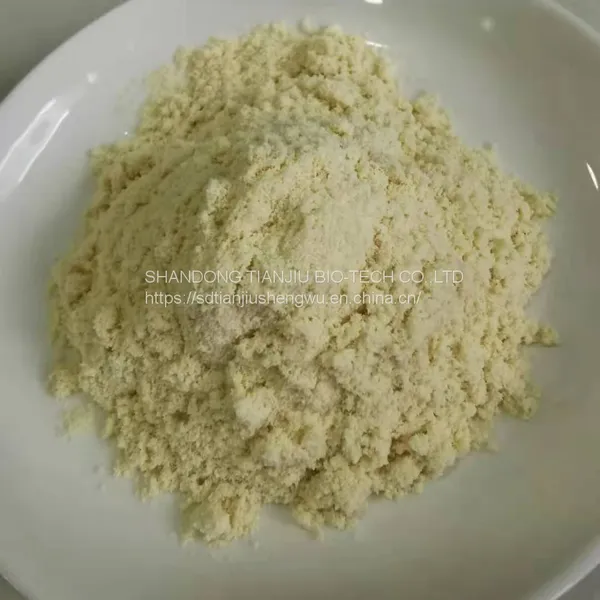 Instant Bean Powder