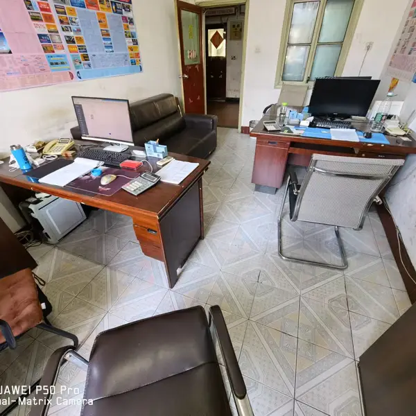 Wuhan Boyang Bozi Trading Co., Ltd company overview - view 1