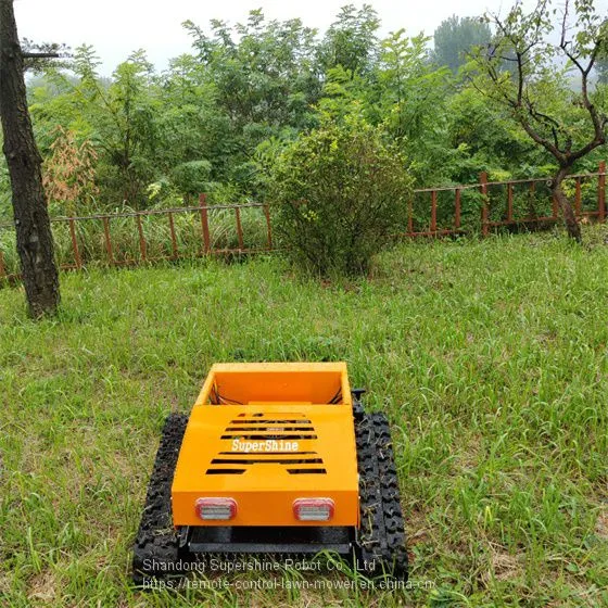 Robot Slope Mower, China Remote Control Lawn Mower With Tracks Price, Grass Cutter Price for Sale photo-5
