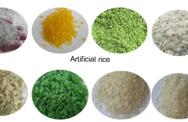 Newly Designed Artificial Rice Production Line Customized Factory Food Fortification Rice Machine photo-4