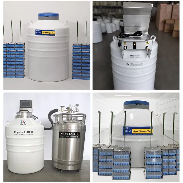 Angola-liquid Nitrogen Tank for Cell Storage Price-liquid Nitrogen Container 65 Liter photo-3