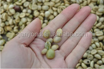 Ivory Coast Wholesale Fresh Coffee Beans Peeler /peeling Cocoa Sheller Machine photo-6