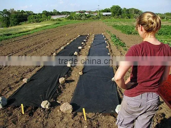 PP Agriculture Non-woven Crop Cover Supplier photo-6