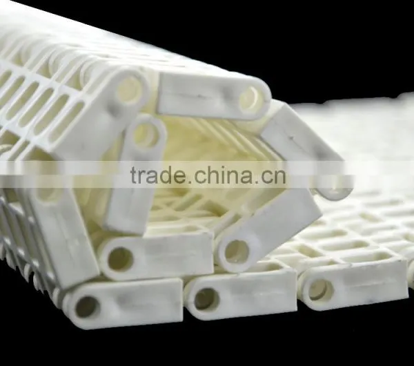 Vera ISO Manufacturer Plastic Modular Conveyor Belt photo-2