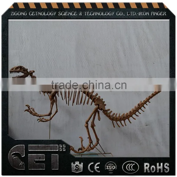 Cetnology-dinosaur Skull Dinosaur Skeleton Sculptures for Party Decoration photo-4