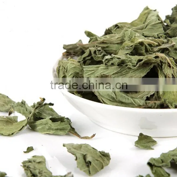 Hot Selling China Herb in Bulk Cold Resistance Herbal Tea Dried Mint Leaves Slimming Herbs photo-2