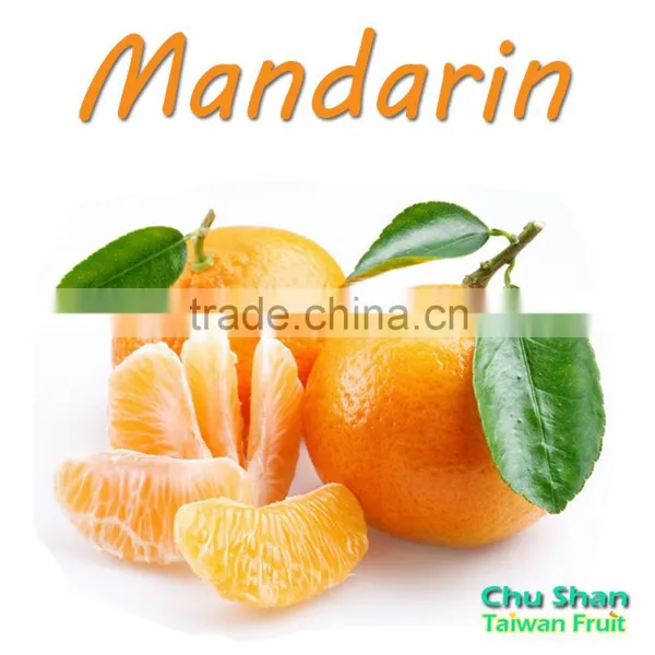 Grade A Fresh Mandarin Orange Citrus Fruit photo-5