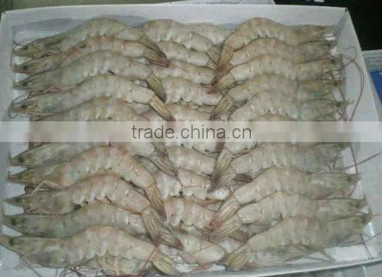 Frozen Vannamei Shrimp