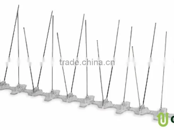 Bird Spikes