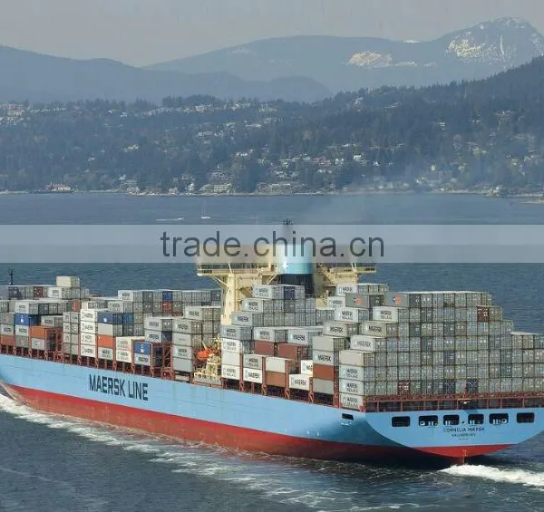 Warehouse Sea Forwarder Freight From Xingang to St Petersburg photo-5