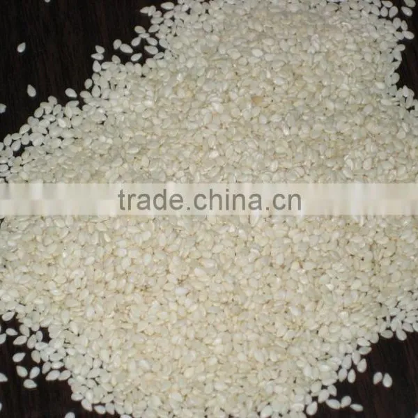 Sesame Bar Machine photo-2