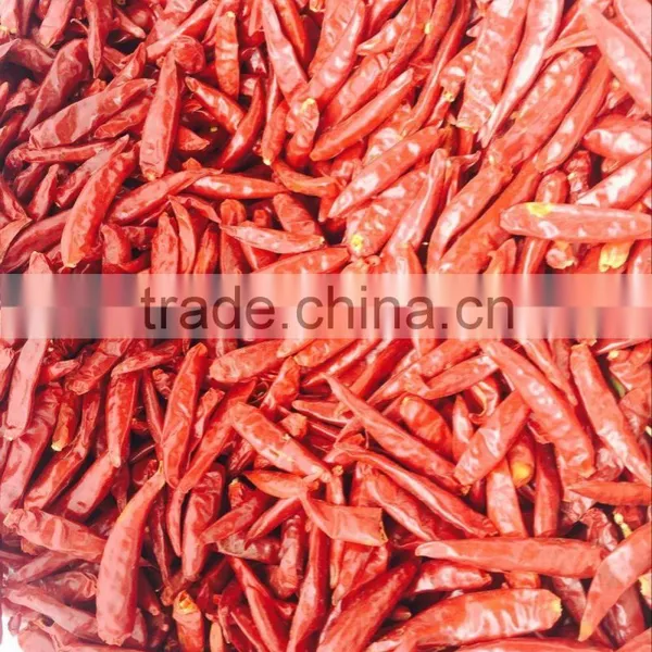 Chilli photo-2