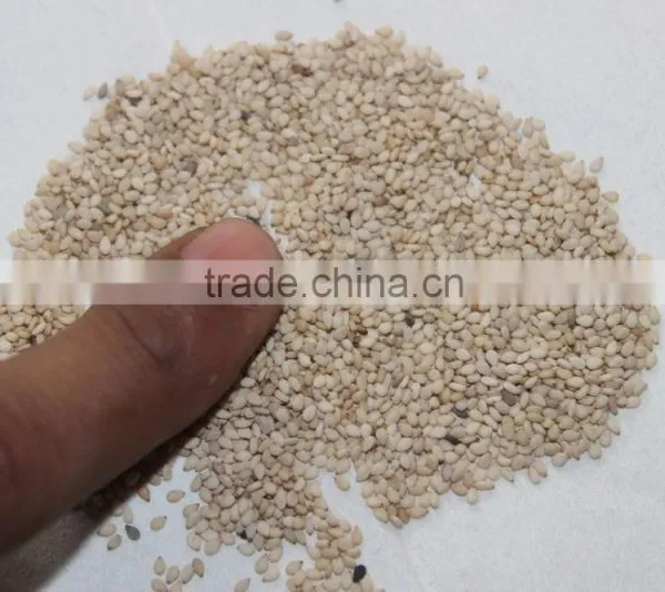 White Sesame Seed