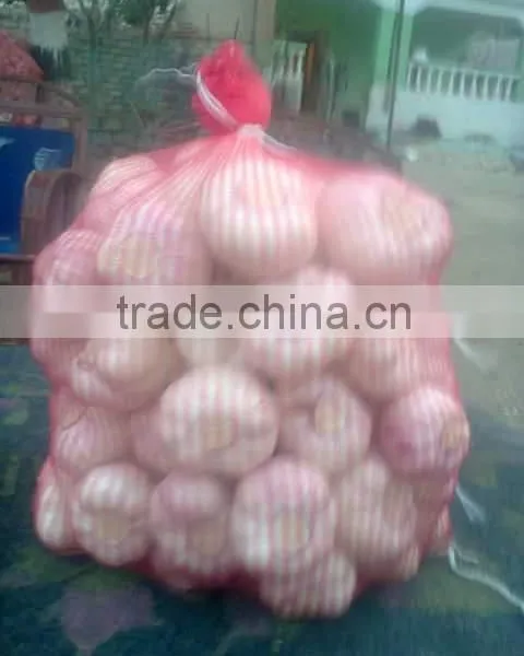 Fresh Garlic