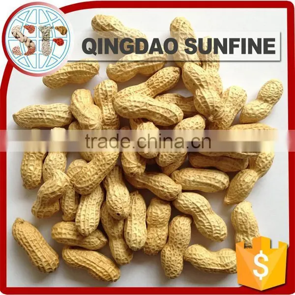 Crispy Organic Roasted Peanuts in Shell photo-2