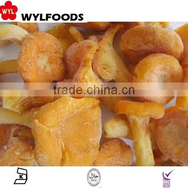 2015 New Product China Mushroom Frozen Chanterelles Mushroom photo-2