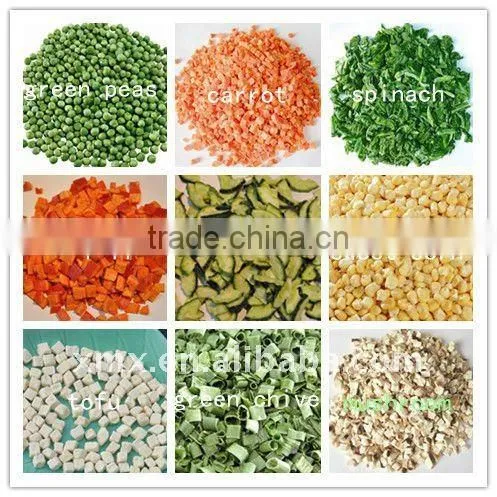 FD Freeze Dried Dehydrated Sweet Corn photo-2