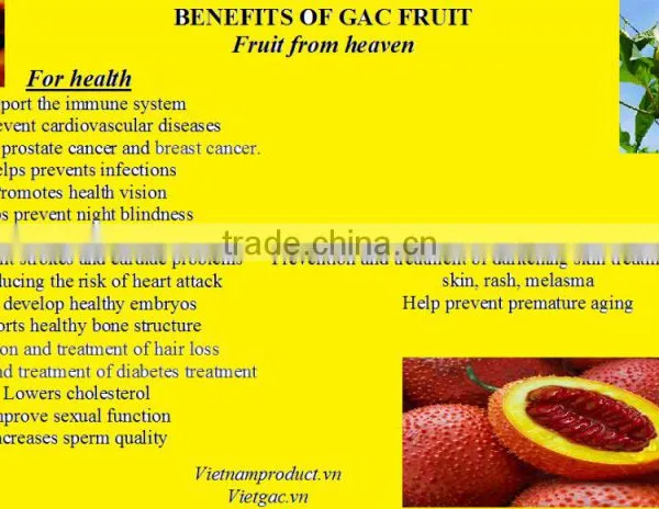 Anti Aging Natural Gac Fruit Oil, Remove Melasma Oil, Whitening Skin Massage Oil photo-3