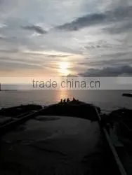 Good Quality Construction Sand for Low Price photo-4