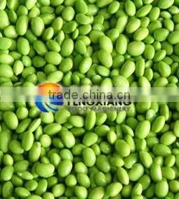 DPL-300 Green Bean Sheller/ Green Bean Shell Peeling Machine photo-6