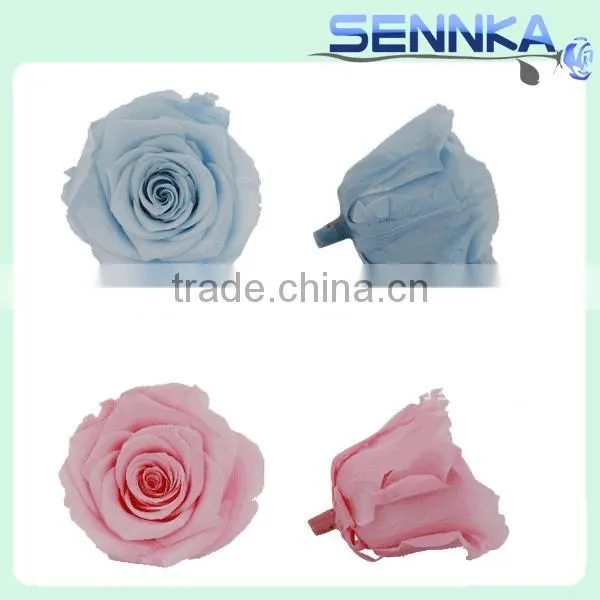 High Quality Big Preserved Flowers Wholesale Natural Preserved Flower photo-2