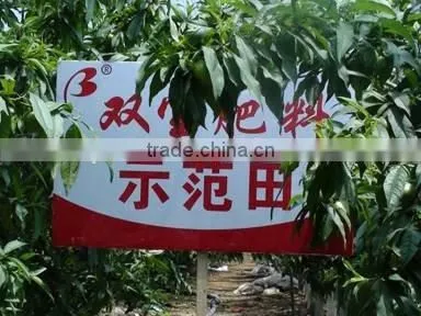 Biological Organic Agro Fertilizer / Base Fertilizer photo-5