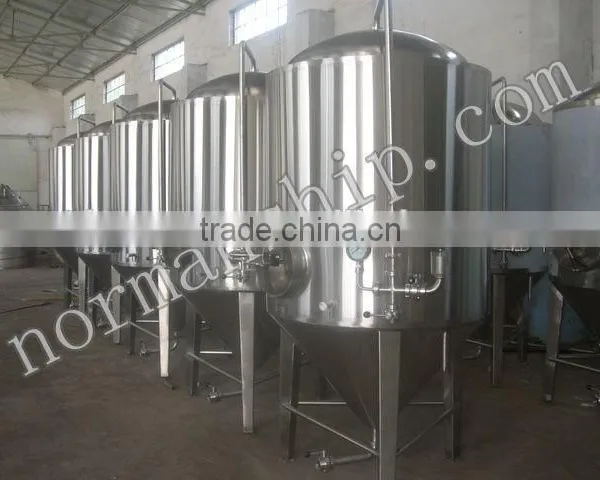 Stainless Steel Conical Beer Fermenter