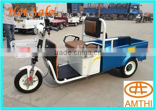Passenger Use For and Electric Driving Type Mini Tricycle, China Electric Tricycle for Cargo, Amthi photo-5