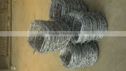 QIang Yu Factory Best Price Barbed Wire photo-3