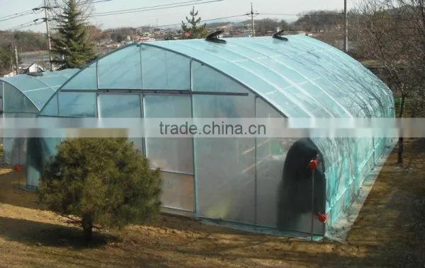 Tunnel Greenhouse photo-2