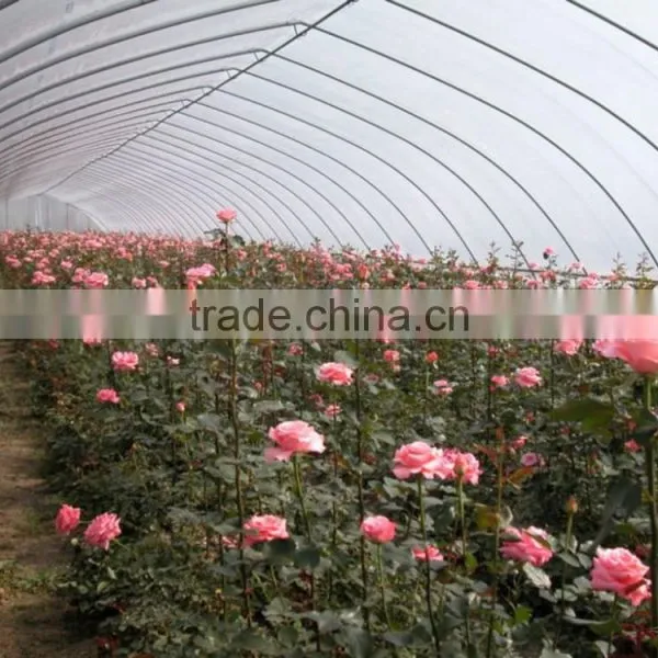 100mm Pvc Plastic Film Covered Tunnel Greenhouse For Private Agicultural Planting photo-5