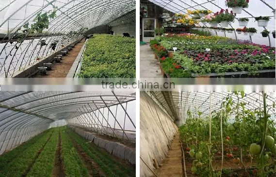 Agriculture Tunnel Plastic Tomato Commercial Greenhouse photo-3