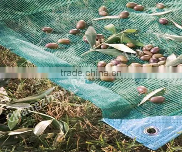 HDPE Olive Harvest Nets / Olive Net /Harvest Netting for Olive photo-2