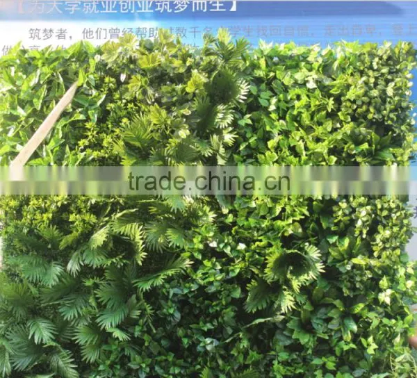 Hot Sale Eco-friendly PE Indoor Artificial Green Wall for Landscaping Decoration photo-3