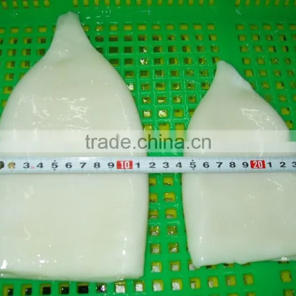 EU Standard Pacific Squid Tube photo-5