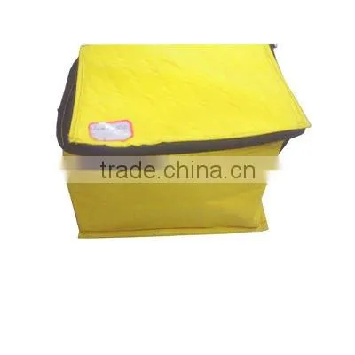 Can Picnic Bag Cooler Bag