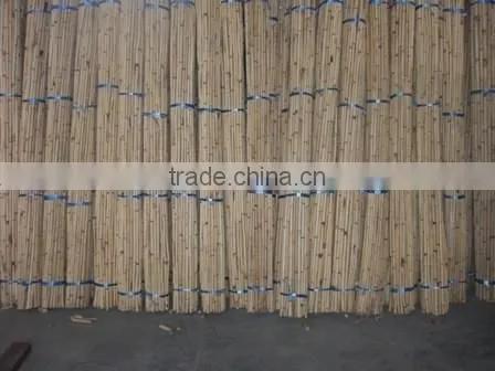 White Malacca, Mantang, Malacca, White Cane, Rattan, Cane, Rattan Cane, Rattan Pole, Pole, Cane Pole photo-5