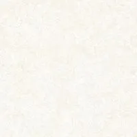 Polished Tile,ceramic Tile X8931