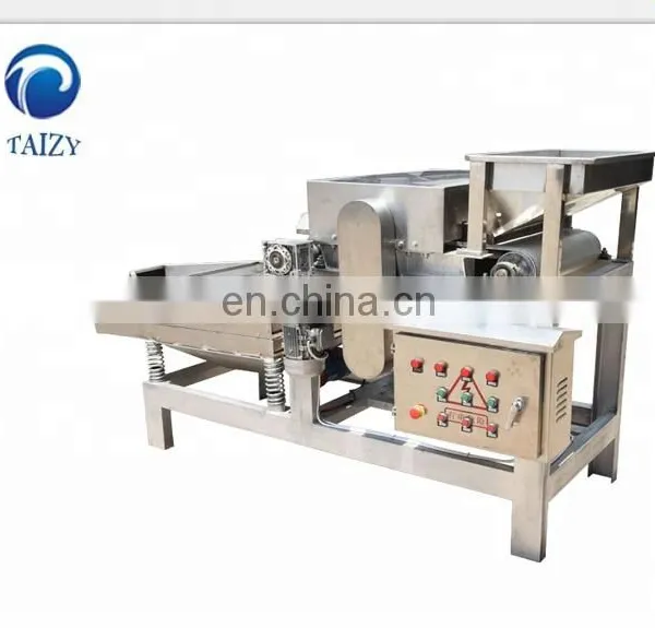 Straight Knife Nut Chopper Crushing Machine Almond Chestnut Cutting Machine Peanut Chopping Machine photo-5