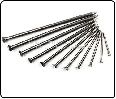 Common Nail/ Iron Nail/ Wire Nails photo-5