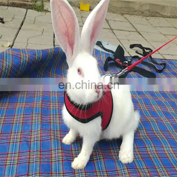 Hamster Bunny Chest Strap Harnesses Pet Rabbits Harness With Leash photo-5